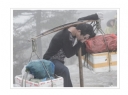 黄永照《黄山雪韵》摄影作品欣赏(3)_在线影展的作品